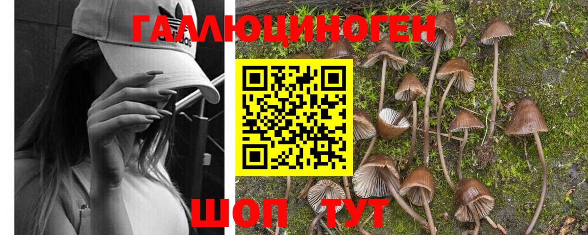 Псилоцибиновые грибы прущие грибы  купить наркотик  Лобня  Вход с VPN  Псилоцибиновые грибы Psilocybine cubensis 