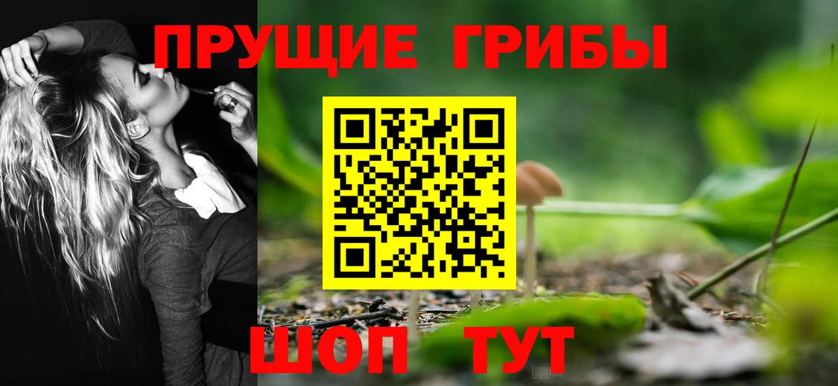 Псилоцибиновые грибы GOLDEN TEACHER Лобня